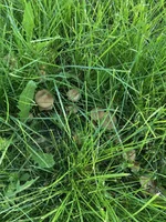 01.webp