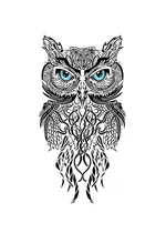 016f671d1b45ceae0d6aadfea6381db9.webp