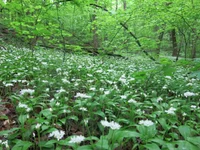 210520 532.webp