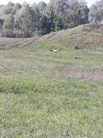 IMG-05eae5ce7f9eb48eaaea420a1c15323b-V.webp