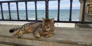 IMG_20210508_162024.webp