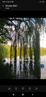 Screenshot_2021-05-28-19-33-56-095_com.miui.gallery.jpg