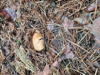 20210602_071110.webp