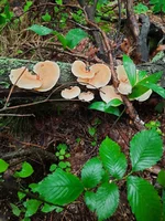 20210602_082817.webp