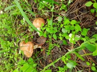 20210602_085127.webp