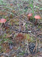 20210602_093719.jpg