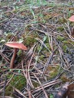 20210602_093731.jpg
