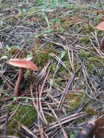 20210602_093731.webp