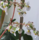 210417а.webp