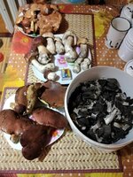 IMG_20210604_204306.jpg