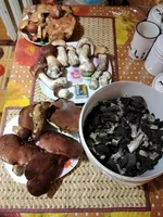 IMG_20210604_204306.webp