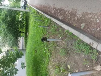 IMG_20210606_130946.webp