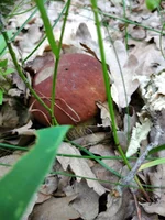 IMG_20210607_104018.webp