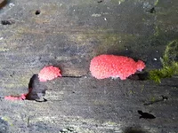 20210606_090433.jpg