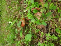 20210606_091331.webp