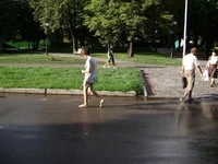 DSC03250.webp