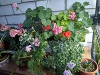 IMG_20210613_205354_HDR.webp
