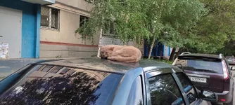 IMG_20210615_184007.webp IMG_20210615_184007.webp