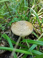 IMG_20210615_114640.webp