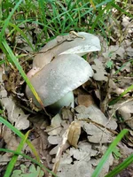 IMG_20210615_122025.webp