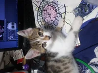 DSC_3122.webp