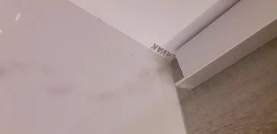 16240046535841786778048418891656.webp