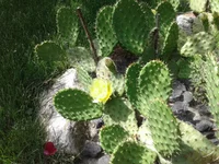 20210622_141524.webp