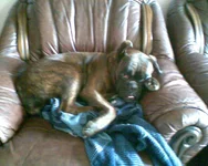  в кресле 2.webp