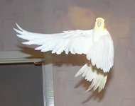 x2200013.webp