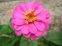 .webp
