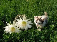19072010.webp