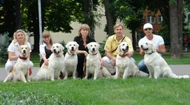2010 070.webp
