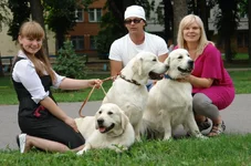 2010 089.webp