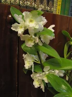 IMG_0706.webp