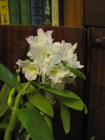 IMG_0707.JPG