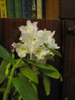 IMG_0707.webp