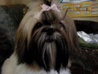 DSC00029.webp