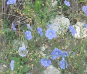 7.webp