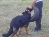 DSC03158.webp