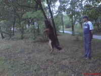  (1) DSC03240.webp