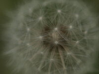 20100516_18f.jpg