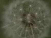 20100516_18f.webp
