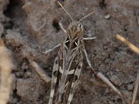 20100708_10.webp