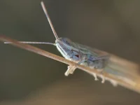 20100708_17r.webp