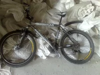 10062010074.webp