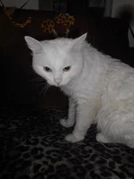 DSCN5871.webp