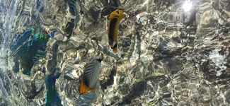 IMG_20210627_103824.jpg