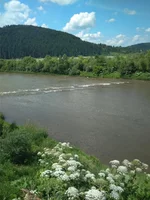 IMG_20210706_123151.webp