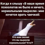 FB_IMG_1625740547186.webp