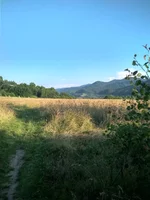 IMG_20210708_194059_HDR.webp